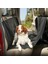 Araba Araç Otomobil Oto Evcil Kuş Papağan Kedi Köpek Hayvan Kılıf Şilte Örtüsü 160X150 cm 2