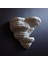 KemX3D Duvar Rafı - Fomentarius Mantarı 3