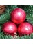 Vıp Deluxe 4 Adet 8 cm Büyük Kırmızı Top Süsler Yılbaşı Ağacı Süsleri Noel Ağacı Süsleri Kırmızı Top 1