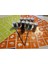 Simli Dövme Glitter Tattoo Kit 10 Tüp Sim 100 Şablon Hediyeli Mega Paket 3
