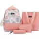  Renk Pembe