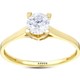  Renk Beyaz - Gold