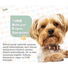 Glint Pet Cleaner 12 x 1 Litre %100 Bitkisel Kedi Köpek Çiş Temizleyici Koku Giderici Köpek Şampanı