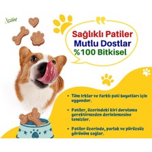 Glint Pet Cleaner 12 x 1 Litre %100 Bitkisel Kedi Köpek Çiş Temizleyici Koku Giderici Köpek Şampanı