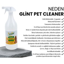 Glint Pet Cleaner 12 x 1 Litre %100 Bitkisel Kedi Köpek Çiş Temizleyici Koku Giderici Köpek Şampanı