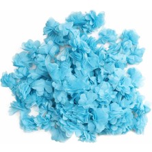 Berqnet Lazer Kesim Şerit Çiçek Açık Mavi 5m [gymberq]