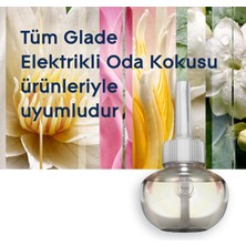 Glade Elektrikli Oda Kokusu Kit Bahar Çiçekleri