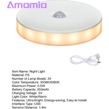 Guangdong Spirit Amamia LED Indüksiyon Lamba Parlamayan Kızılötesi Otomatik Açma/kapama Hareket Sensörlü Gece Lambası (Yurt Dışından)