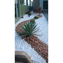 Ahs Beyaz Dolomit Taş 1 kg 0-2 cm Dere Çakıl Taşı Bahçe Peyzaj Süs Taşı Saksı Teraryum Akvaryum Taşı