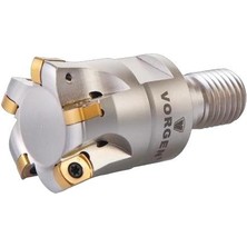 Fett VMFBL06 - 25 M12-Z04 Vorgen Değiştirilebilir Uçlu Modü Freze