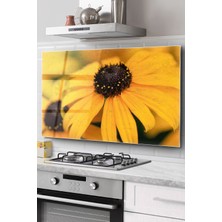 Ocak Arkası Cam Koruyucu Tezgah Ankastre Arkası Koruyucu | Sarı Papatya Desenli