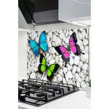 Cam Ocak Arkası Koruyucu Ankastre Arkası Koruyucu | Kelebek