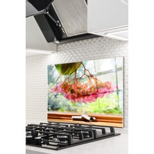 Cam Ocak Arkası Koruyucu Ankastre Arkası Koruyucu | Pencere ve Çiçekler