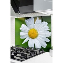 Cam Ocak Arkası Koruyucu Ankastre Arkası Koruyucu | Papatya