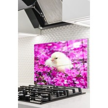 Cam Ocak Arkası Koruyucu Ankastre Arkası Koruyucu | Beyaz Civciv