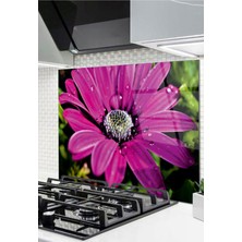 Cam Ocak Arkası Koruyucu Ankastre Arkası Koruyucu | Çiçek