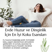 Alze Kimya Aloe Vera Esansı Mum ve Buhurdanlık Için Yoğun 10,20,30 ml