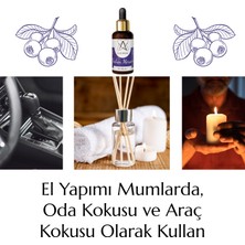 Alze Kimya Blueberry Esansı Mum ve Buhurdanlık Için Yoğun 10,20,3