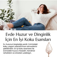 Alze Kimya Oud Esansı Mum ve Buhurdanlık Için Yoğun 10,20,30 ml