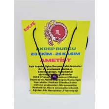 Doğal Taş Dünyası Sertifikalı Akrep Burcu Ametist Taşı Doğal Taş Kolye