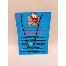 Doğal Taş Dünyası Sertifikalı Kova Burcu Amazonit Taşı Doğal Taş Kolye