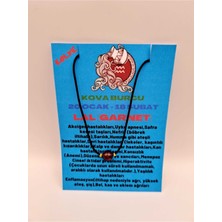 Doğal Taş Dünyası Sertifikalı Kova Burcu Lal (Garnet) Taşı Doğal Taş Kolye