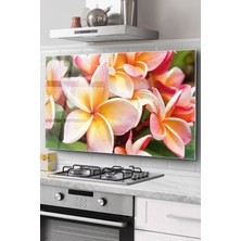 Ne Verelim Size Ocak Arkası Cam Koruyucu Tezgah Ankastre Arkası Koruyucu | Çiçek Desenli