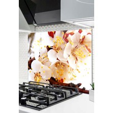 Ne Verelim Size Cam Ocak Arkası Koruyucu Ankastre Arkası Koruyucu | Love