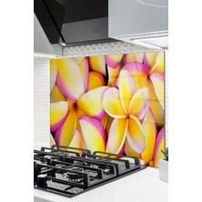 Ne Verelim Size Cam Ocak Arkası Koruyucu Ankastre Arkası Koruyucu | Çiçek