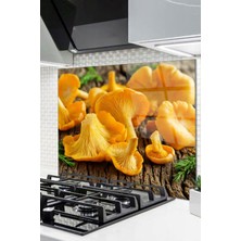 Ne Verelim Size Cam Ocak Arkası Koruyucu Ankastre Arkası Koruyucu | Sarı Mantar