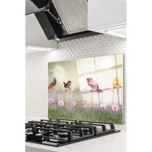 Ne Verelim Size Cam Ocak Arkası Koruyucu Ankastre Arkası Koruyucu | Kuş