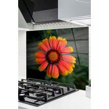 Ne Verelim Size Cam Ocak Arkası Koruyucu Ankastre Arkası Koruyucu | Çiçek