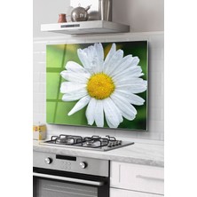 Ne Verelim Size Ocak Arkası Cam Koruyucu Tezgah Ankastre Arkası Koruyucu | Papatya Desenli