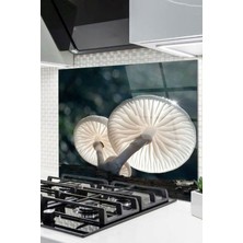 Ne Verelim Size Cam Ocak Arkası Koruyucu Ankastre Arkası Koruyucu | Mantar