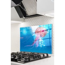 Ne Verelim Size Cam Ocak Arkası Koruyucu Ankastre Arkası Koruyucu | Deniz Anası