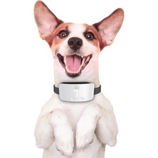 Doggie Eğitim Tasması Ayarlanabilir Beyaz