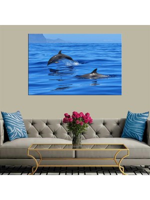 Ne Verelim Size Dekoratif Baskı Yunuslar Kanvas Tablo