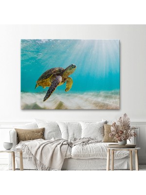 Ne Verelim Size Deniz Kaplunbağası Dekoratif Kanvas Duvar Tablosu-3662