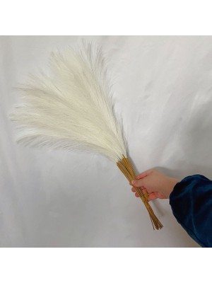 Ganbao Sütlü Beyaz 20PCS 55CM 5/10/20PCS Kabarık Pampas Çim Boho Dekor Çiçek Sahte Bitki Kamış Simüle Düğün Parti Ev Dekorasyon Yapay Çiçekler (Yurt Dışından)