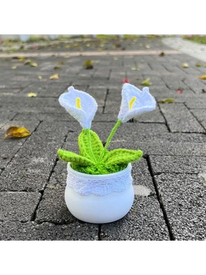 Ganbao Calla Zambak Tığ Ayçiçeği Saksı Bitki, Sahte Çiçek Bonsai, Gül, Kaktüs, Antoryum, Calla, Yonca, Lale, Papatya, Ev Masası Dekoru Için Dokuma Hediye (Yurt Dışından)