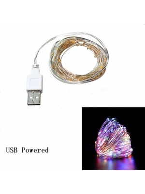 Ganbao USB Renkli 2m 20LED Yılbaşı Gecesi Süslemeleri 1 ~ 10M Bakır Tel LED Işık Ev Için Noel Süslemeleri Navidad Yeni Yıl 2022 Noel Dekorasyonu (Yurt Dışından)