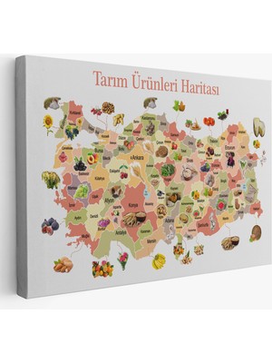 Tarım Ürünleri Yerli Malı Haftası Türkiye Haritası 1046