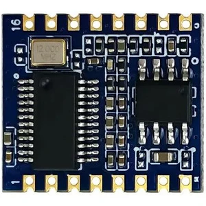 HLK-V20 Ses Tanıma Modülü