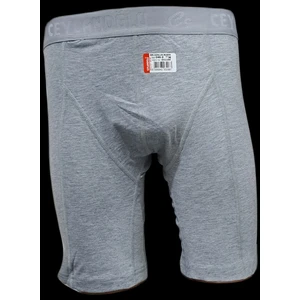 Erkek 3'lü Açık Gri Uzun  Paçalı BOXER-049