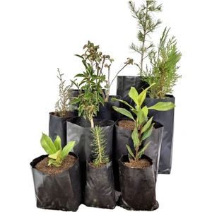 Fidan Poşeti 25*35 Fide Torbası 1 kg