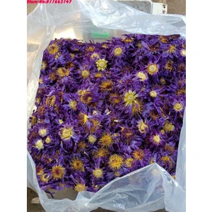 100G Mavi Lotus Üst 5A Mavi Lotus Kurutulmuş Çiçekler Poşet Yastık Dolumu Için Doğal Nymphaea Mum Düğün Tütsü Ev Kokusu Yapımı Için Toplu (Yurt Dışından)