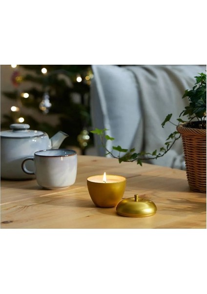 Metal Kutuda Elma Şeklinde Kokulu Mum modelleri