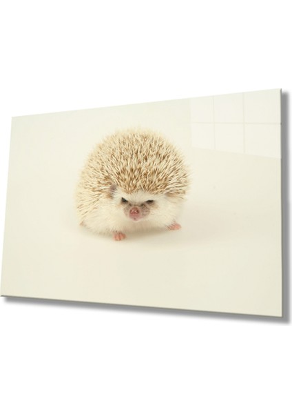Kirpi Hayvan Cam Tablo