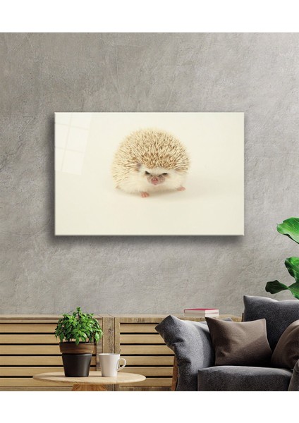 Kirpi Hayvan Cam Tablo fiyatları