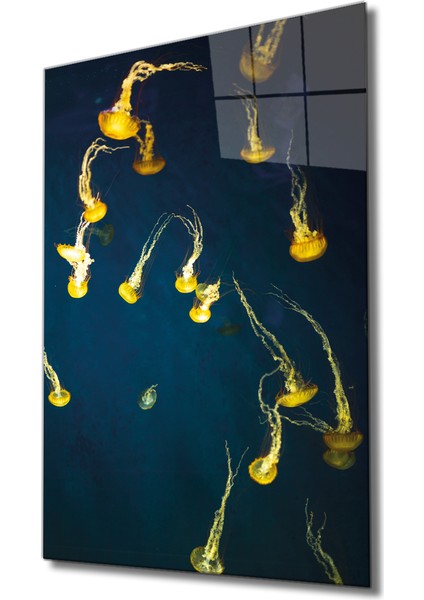 Sarı Denizanası Cam Tablo Yellow Jellyfish